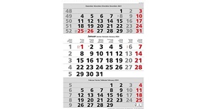 Monatskalender 2025 Simplex 3Monate pro Seite, grau/rot