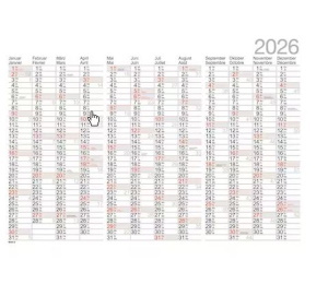 Jahresplaner Biella Jahresübersicht, 98x68 cm