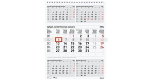 Monatskalender 2025 Biella 5 Monate pro Seite grau/rot
