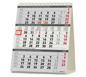 Tischplaner 2025 Desktop Delta Biella 3 Monate,pro Seite, Karton