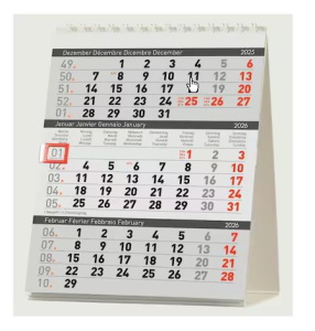 Tischplaner Biella Desktop Delta 3 Monate pro Seite, Karton, 12.5x15.5 cm